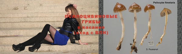спайс Осташков