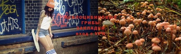 ALPHA-PVP Остров
