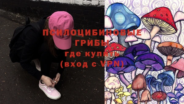 ALPHA-PVP Остров