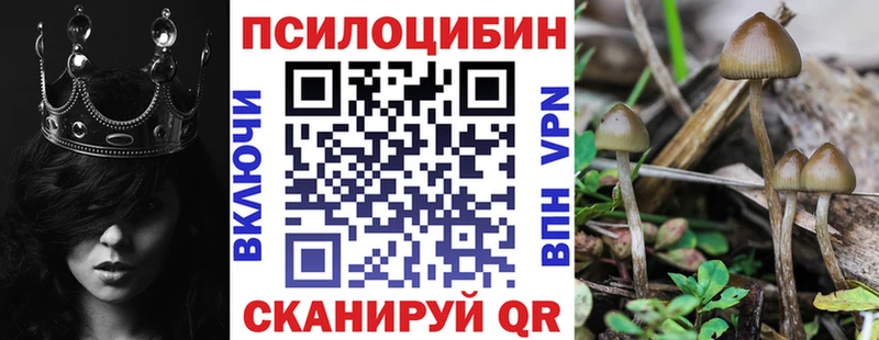 Псилоцибиновые грибы GOLDEN TEACHER Любань